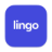 Lingo | Digital Asset Management Software for Growing Brands